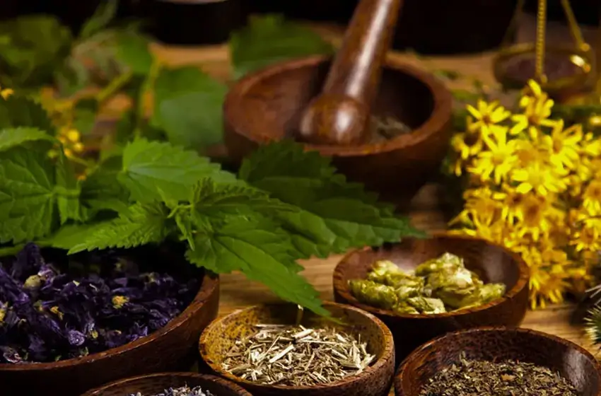 Ayurveda Of India - Rajasthan Tour By Car And Driver