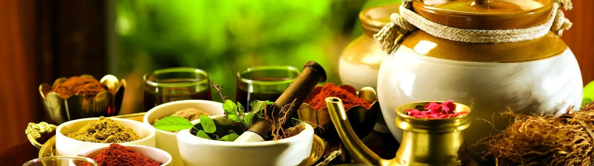 Ayurveda Of India - Rajasthan Tour By Car And Driver