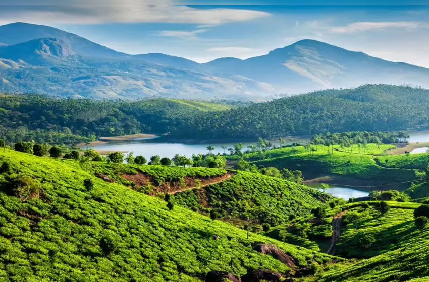 Best Of South India