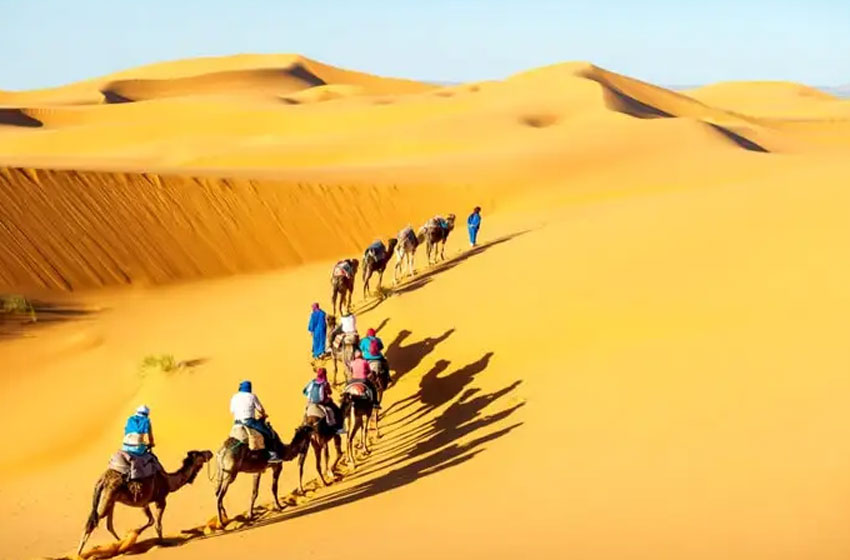 Desert & Dunes Experience