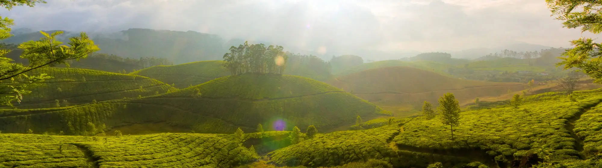 Complete Kerala Experience Tour