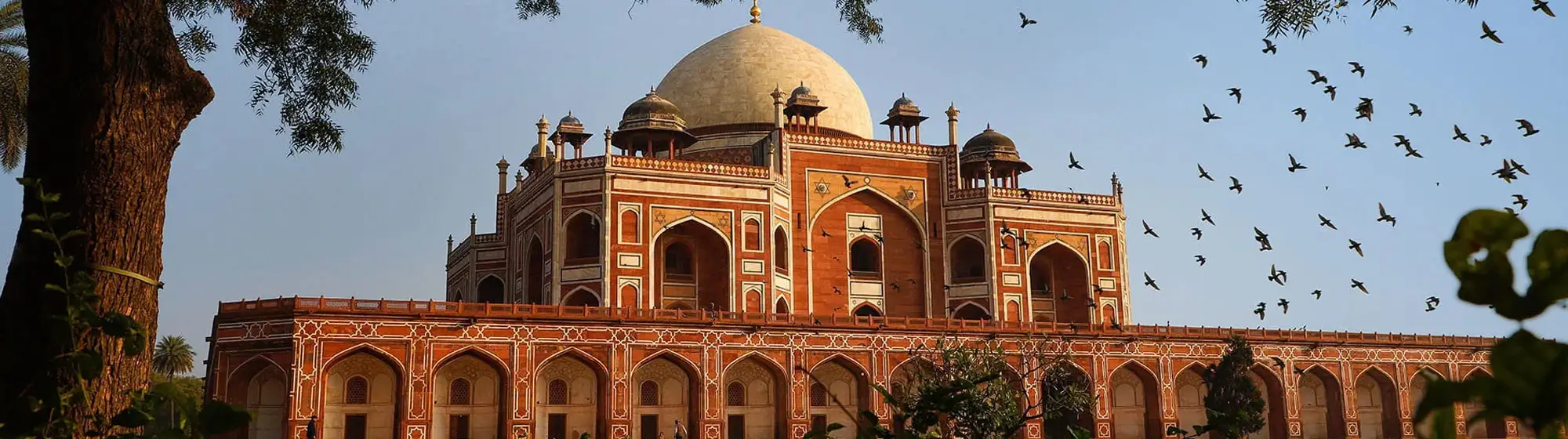 Delhi Agra Day Tours