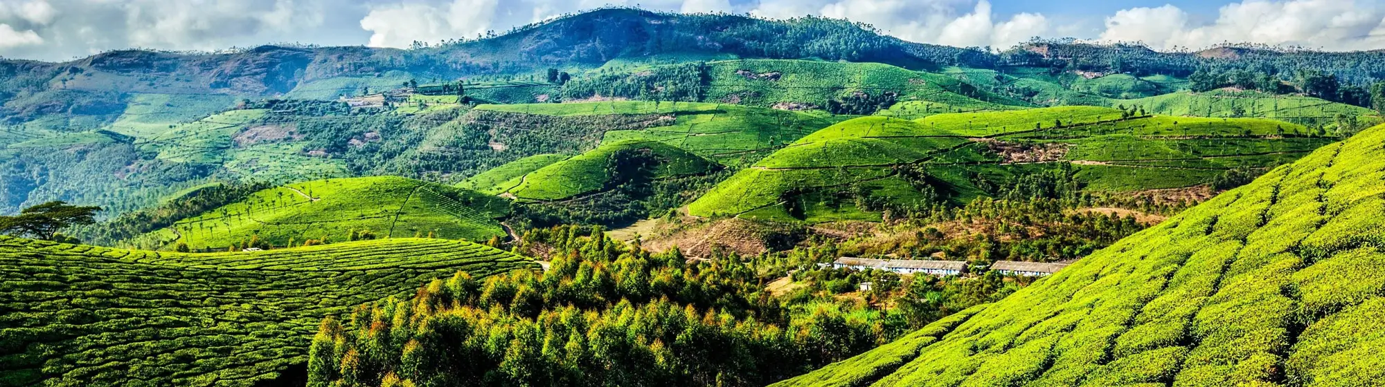 Simply Kerala - Rajasthan Tour By Car And Driver