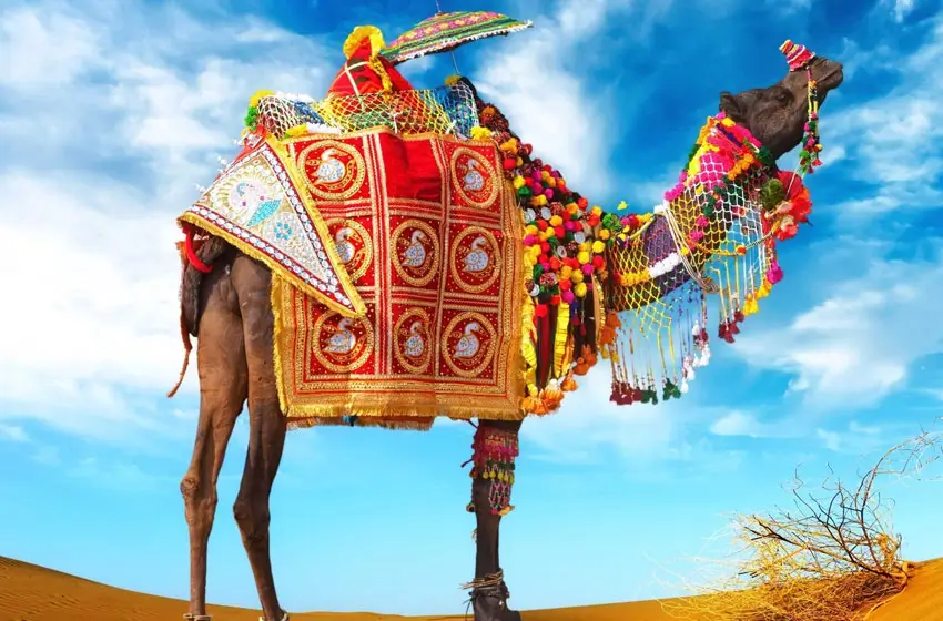 Rajasthan Culinary & Cultural Tour