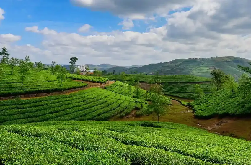 Simply Kerala - Rajasthan Tour By Car And Driver