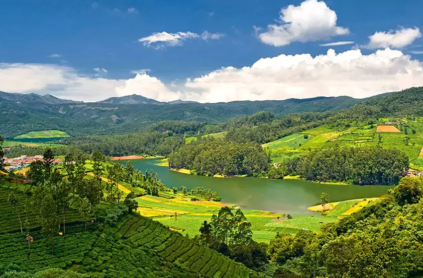 South India Hill Stations & Tea Plantation Tour