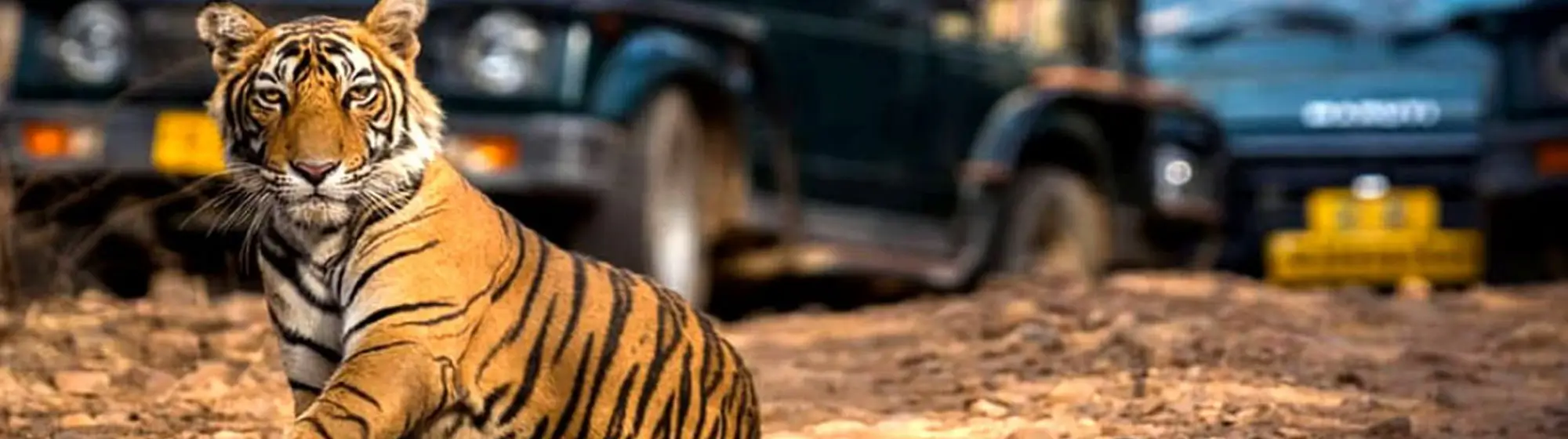 Rajasthan & Wildlife with Extended Golden Triangle