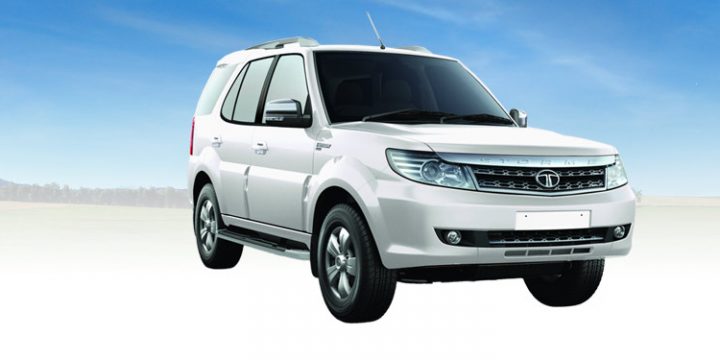 carrental_safari