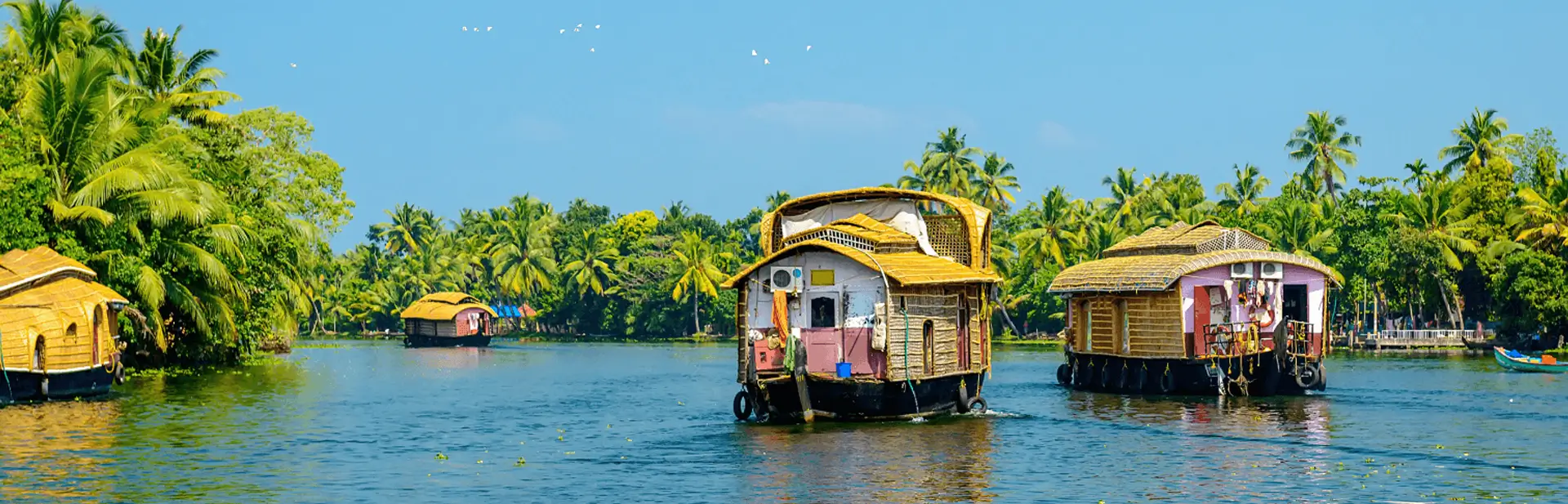 Complete Kerala Experience Tour