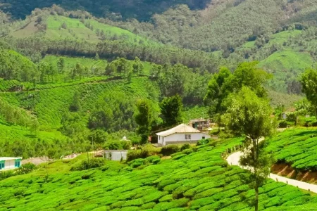 Luxury Kerala Tour Package