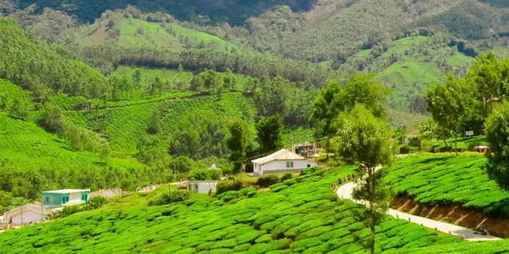 Luxury Kerala Tour Package