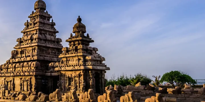 Luxury South India Escape with Houseboat Stay