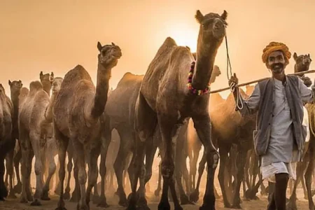 Rajasthan Heritage Village & Fair Tour