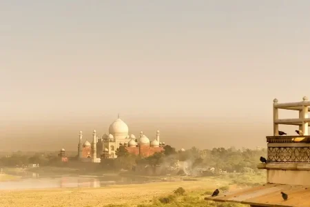 Rajasthan’s Luxury Heritage & Wildlife Safari with Taj Experiences