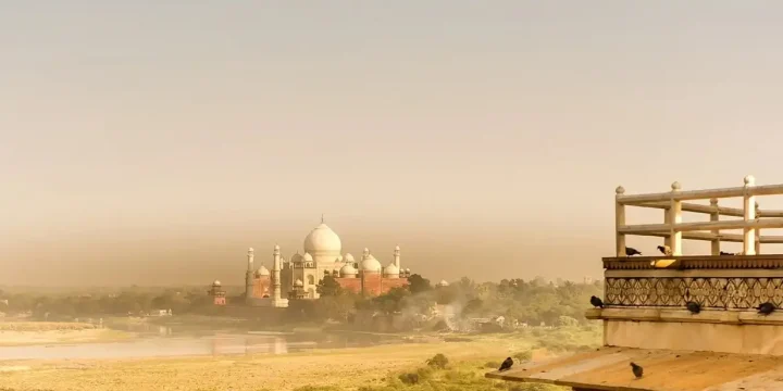Rajasthan’s Luxury Heritage & Wildlife Safari with Taj Experiences