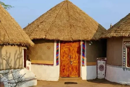 Rural Rajasthan & Castle Stay Experience