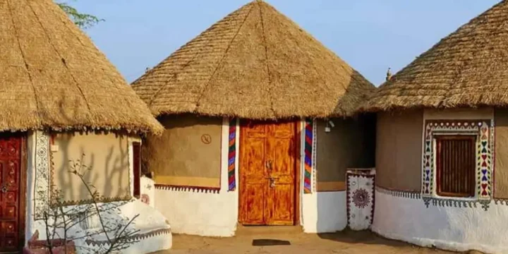 Rural Rajasthan & Castle Stay Experience