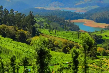 South India Hill Stations & Tea Plantation Tour