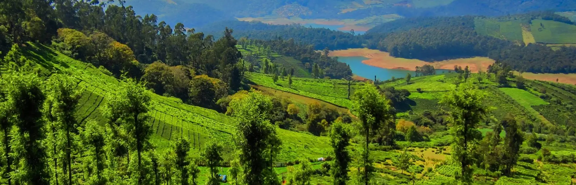 South India Hill Stations & Tea Plantation Tour