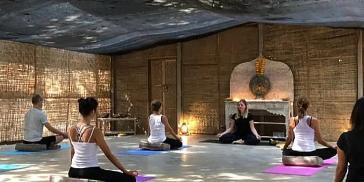 South India Yoga, Meditation & Ayurveda Tour
